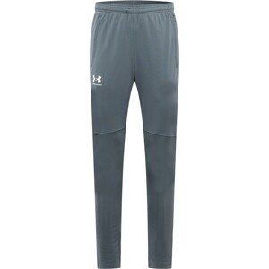 UNDER ARMOUR Sportovní kalhoty šedá / bílá