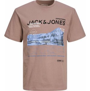 JACK & JONES Tričko 'NADES' světlemodrá / pudrová / černá / bílá