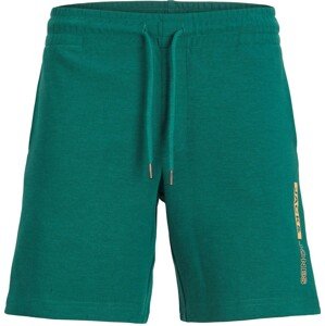 JACK & JONES Kalhoty 'NEO' tmavě zelená / broskvová