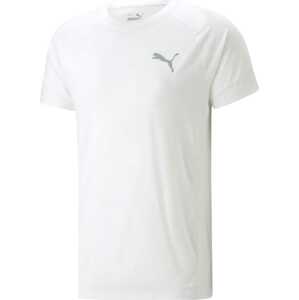 PUMA Funkční tričko 'EVOSTRIPE' šedá / bílá