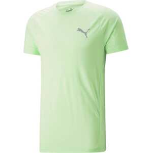 PUMA Funkční tričko 'EVOSTRIPE' světle šedá / světle zelená