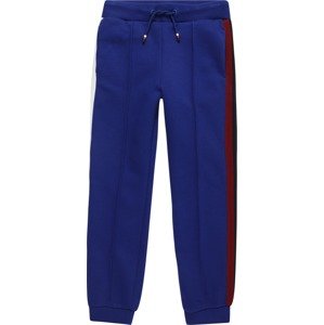 TOMMY HILFIGER Kalhoty modrá / červená / černá / bílá