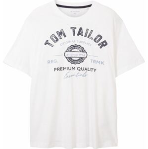 TOM TAILOR Men + Tričko modrá / černá / bílá
