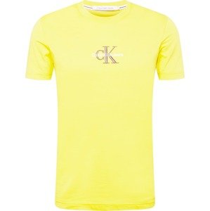 Calvin Klein Jeans Tričko žlutá / šedá / bílá