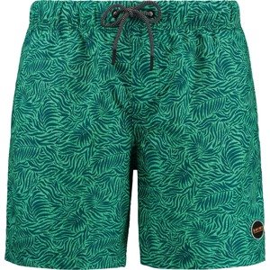 Plavecké šortky Shiwi zelená / petrolejová