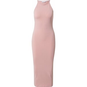 Šaty 'PRIDE' Calvin Klein mix barev / růžová