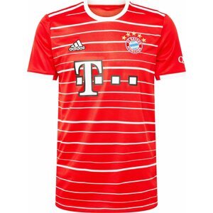 Trikot 'FC Bayern München
