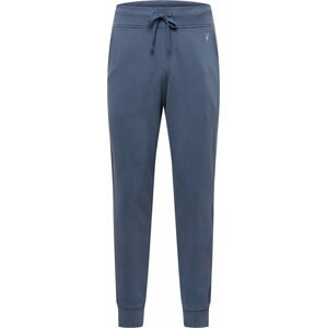 Kalhoty 'RAVEN' AllSaints chladná modrá / stříbrně šedá