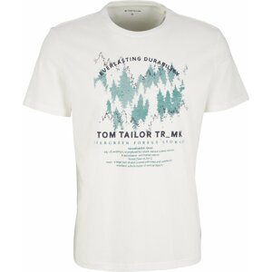 Tričko Tom Tailor tyrkysová / černá / bílá