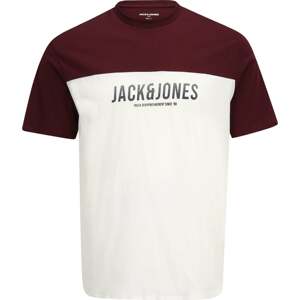 Tričko 'Dan' Jack & Jones Plus noční modrá / vínově červená / bílá
