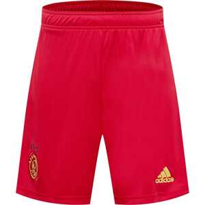 Sportovní kalhoty 'AJAX' ADIDAS SPORTSWEAR mix barev / červená