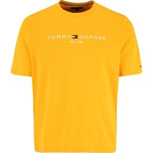 Tričko Tommy Hilfiger Big & Tall námořnická modř / žlutá / červená / bílá