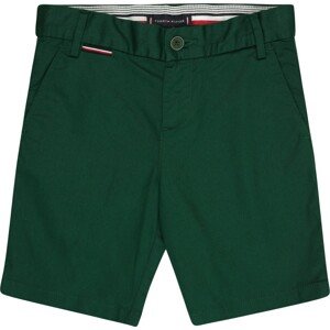 Kalhoty Tommy Hilfiger tmavě zelená