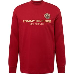 Tričko Tommy Hilfiger námořnická modř / hořčicová / červená / bílá