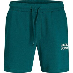 Kalhoty 'BEX' jack & jones smaragdová / bílá