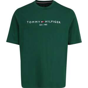 Tričko Tommy Hilfiger Big & Tall tmavě modrá / tmavě zelená / červená / bílá