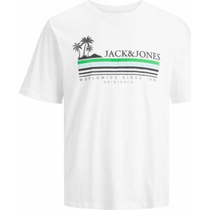 Tričko 'Cody' jack & jones opálová / zelená / černá / bílá