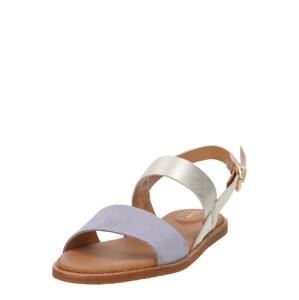 Páskové sandály 'Karsea' Clarks fialová / stříbrná / bílá