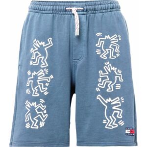Kalhoty Tommy Jeans námořnická modř / modrá džínovina / červená / bílá