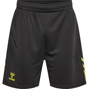 Sportovní kalhoty Hummel žlutá / černá
