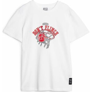 Funkční tričko Puma šedá / krvavě červená / bílá