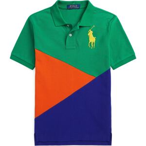 Tričko Polo Ralph Lauren tmavě modrá / žlutá / zelená / červená