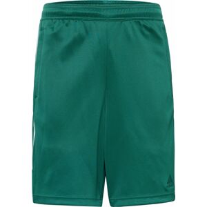 Sportovní kalhoty 'Tiro Wordmark' ADIDAS SPORTSWEAR tmavě zelená / bílá