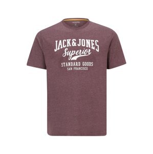 Jack & Jones Plus Tričko  vínově červená / bílá