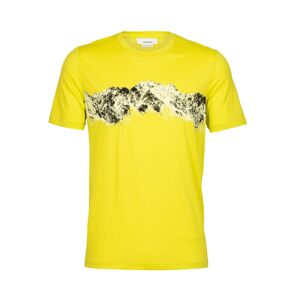 ICEBREAKER Funkční tričko  žlutá / mix barev