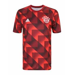 ADIDAS PERFORMANCE Funkční tričko 'FC Bayern Prematch'  červená / burgundská červeň / bílá