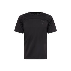 PUMA Funkční tričko 'SEASONS'  šedá / černá