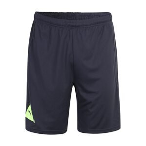 PUMA Sportovní kalhoty noční modrá / pastelově zelená