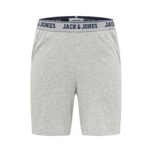 JACK & JONES Kalhoty 'CAXEL'  modrá / námořnická modř / šedá / šedý melír