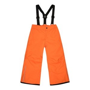 Reima Funkční kalhoty 'Proxima'  šedá / oranžová / černá