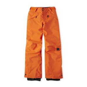 O'NEILL Outodoor kalhoty 'Anvil'  mix barev / oranžová