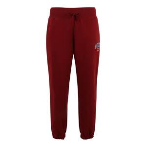 Nike Sportswear Kalhoty  marine modrá / karmínově červené / bílá