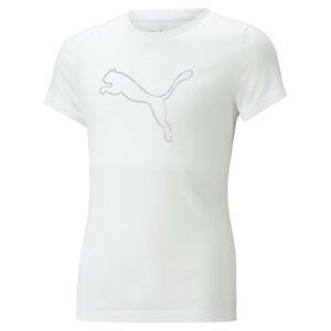 PUMA Funkční tričko 'NOVA SHINE' šedá / bílá