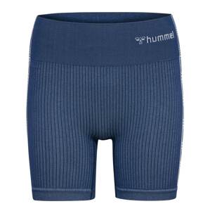 Hummel Sportovní kalhoty 'Blaze' chladná modrá / bílá