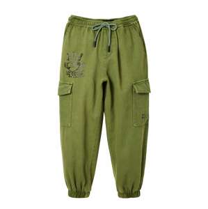 Desigual Kalhoty 'AMAZONA' zelená