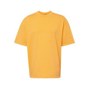 Pegador Tričko 'Colne' jasně oranžová