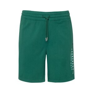 Abercrombie & Fitch Kalhoty zelená / bílá