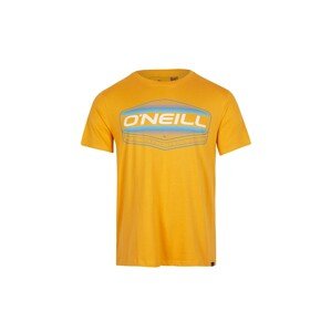 O'NEILL Tričko světlemodrá / medová / bílá