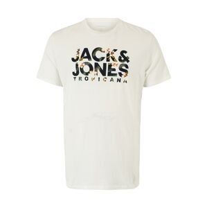 Jack & Jones Plus Tričko 'BECS' noční modrá / tmavě zelená / broskvová / bílá