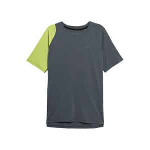 4F Funkční tričko šedá / zelená
