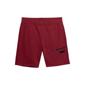 4F Sportovní kalhoty tmavě červená / černá
