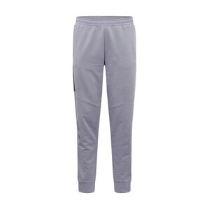 Calvin Klein Performance Sportovní kalhoty  stříbrně šedá / antracitová