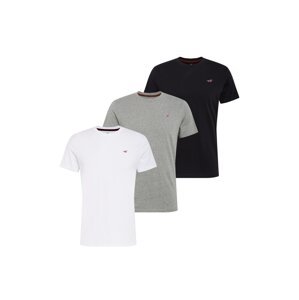 HOLLISTER T-Shirt  tmavě šedá / bílá / černá