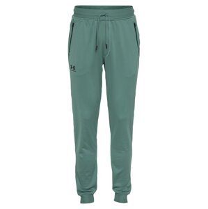 UNDER ARMOUR Sportovní kalhoty  smaragdová / černá