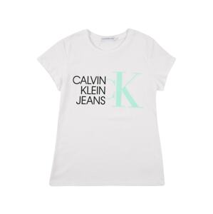 Calvin Klein Jeans Tričko  bílá / černá / mátová
