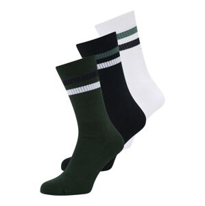 BJÖRN BORG Sportovní ponožky noční modrá / tmavě modrá / tmavě zelená / bílá